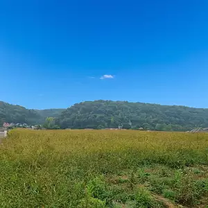 Maison neuve, 100 m²