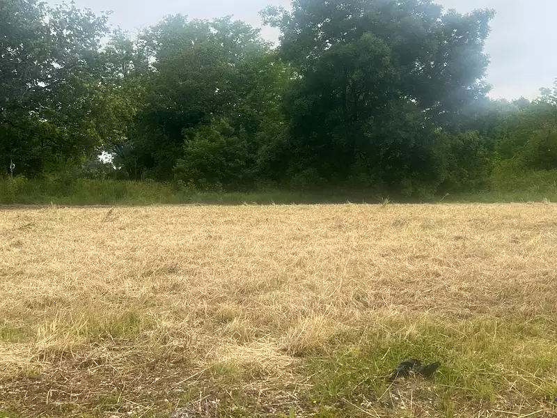 Terrain à bâtir, 1 600 m² - Saint-Laurent-Médoc (33112)