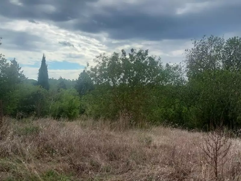 Terrain à bâtir, 1 200 m² - Barjols (83670)