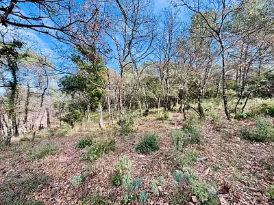 Terrain à bâtir, 964 m²