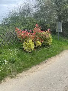 Terrain à bâtir, 654 m²