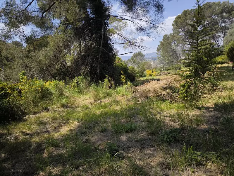 Maison neuve, 82 m² - Grasse (06130)