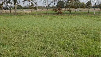 Maison neuve, 109,6 m²