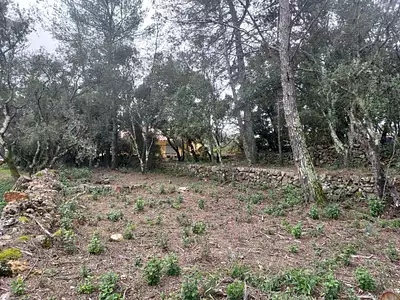 Maison neuve, 70 m²