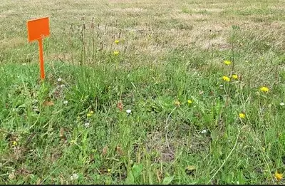 Terrain à bâtir, 380 m²