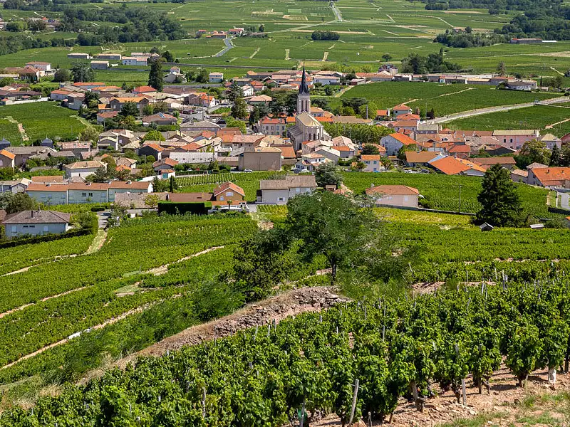 Maison neuve, 130 m² - Fleurie (69820)
