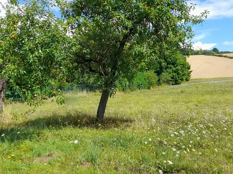 Maison neuve, 89 m² - Béon (89410)