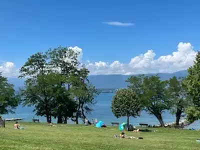 LEMAN 360