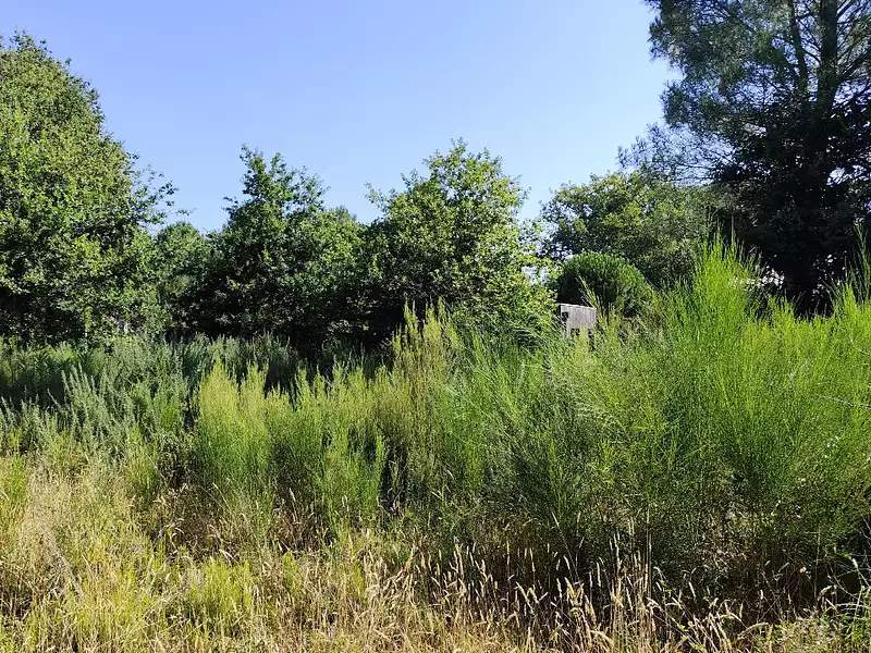 Terrain à bâtir, 515 m² - Vendays-Montalivet (33930)