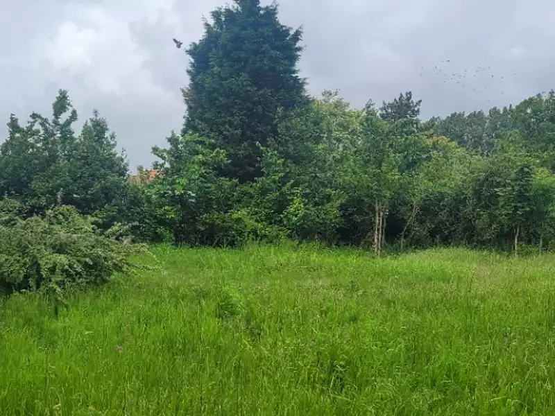 Maison neuve, 90 m² - Loon-Plage (59279)