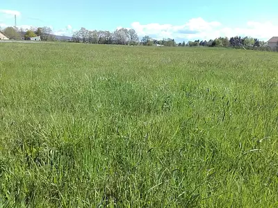 Maison neuve, 80 m²