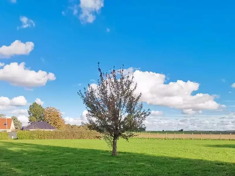 Terrain à bâtir, 760 m² - Pécy (77970)