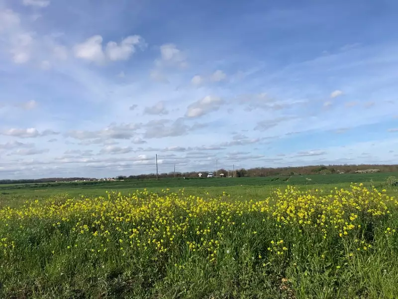 Terrain à bâtir, 419 m² - Bourgneuf (17220)