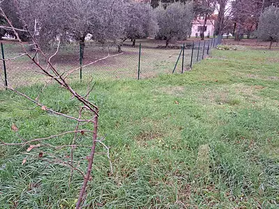 Maison neuve, 116 m²