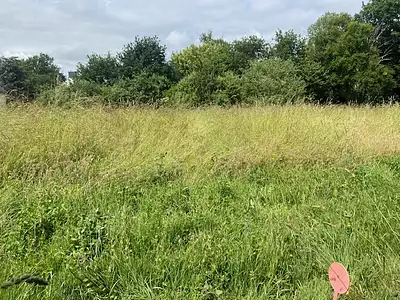 Terrain à bâtir, 1 200 m²