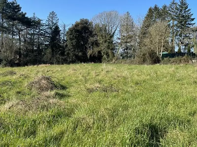 Terrain à bâtir, 1 187 m² - Coly-Saint-Amand (24120)