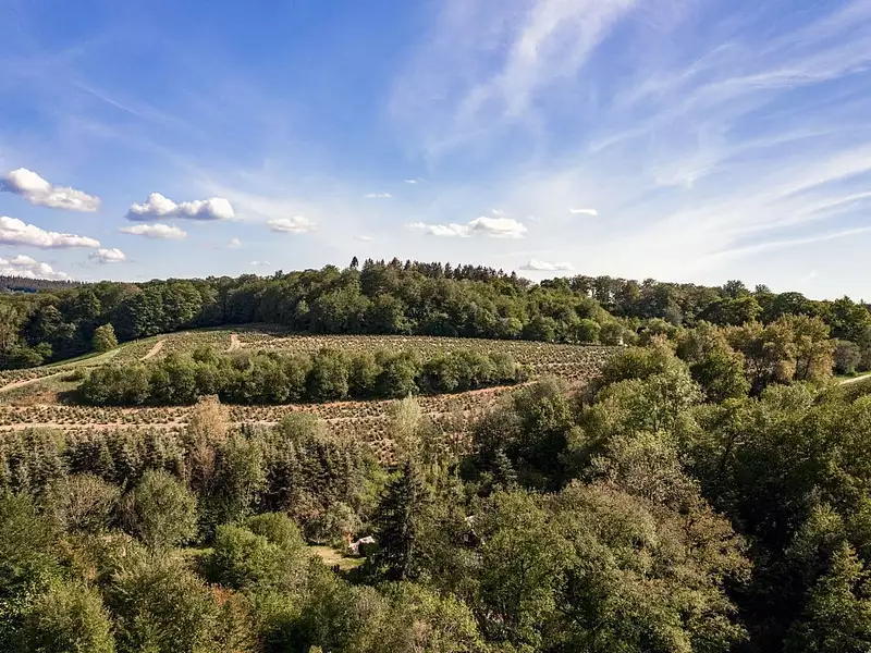 Terrain à bâtir, 2 000 m² - Egletons (19300)
