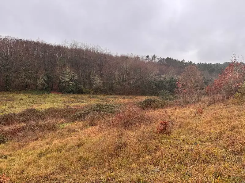 Terrain à bâtir, 1 400 m² - Trélissac (24750)