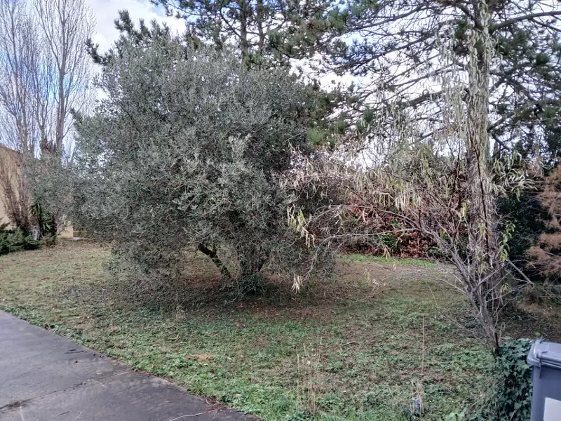 Terrain à bâtir, 343 m² - Marsillargues (34590)