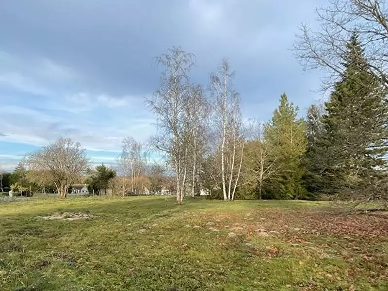 Terrain à bâtir, 990 m² - Montrieux-en-Sologne (41210)