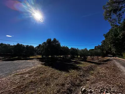 Maison neuve, 110 m²