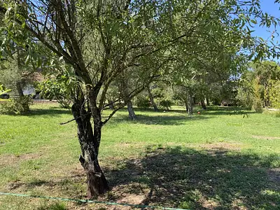 Maison neuve, 80 m²