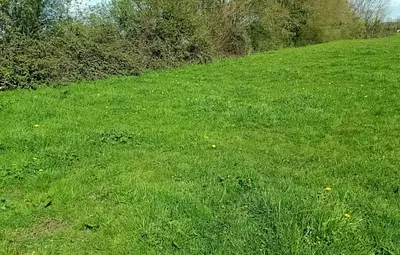 Terrain à bâtir, 1 500 m²