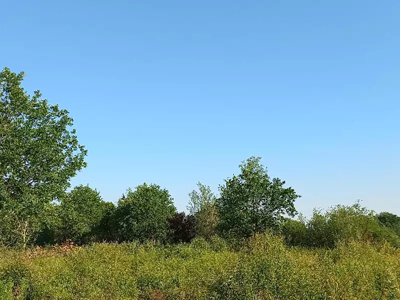 Terrain à bâtir, 5 174 m² - Montpon-Ménestérol (24700)