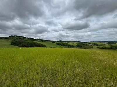 Terrain à bâtir, 1 448 m²