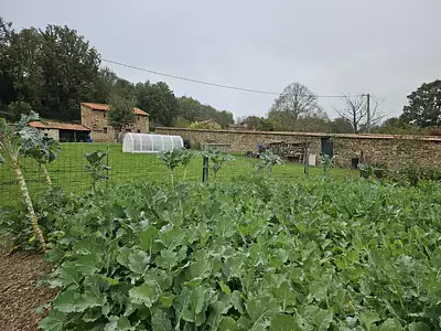 Terrain à bâtir, 750 m²
