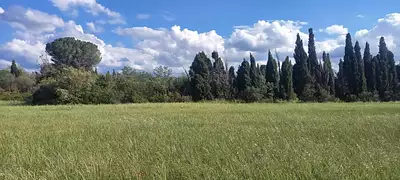 Terrain à bâtir, 494 m²