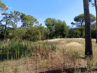 Terrain à bâtir, 900 m²