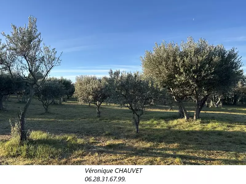 Maison neuve, 120 m² - Aups (83630)