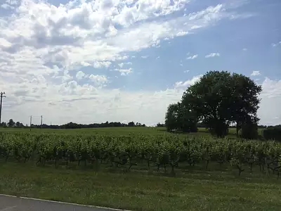 Terrain à bâtir, 1 000 m²