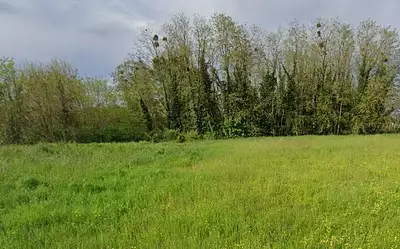 Terrain à bâtir, 600 m²