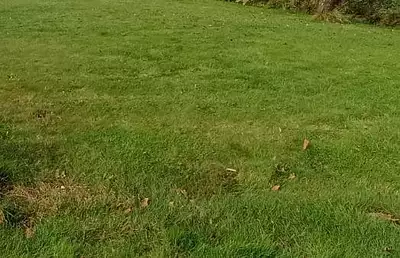 Terrain à bâtir, 400 m²