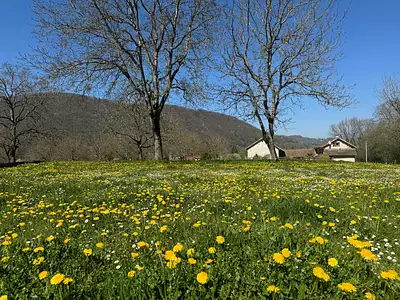 Terrain à bâtir, 800 m²