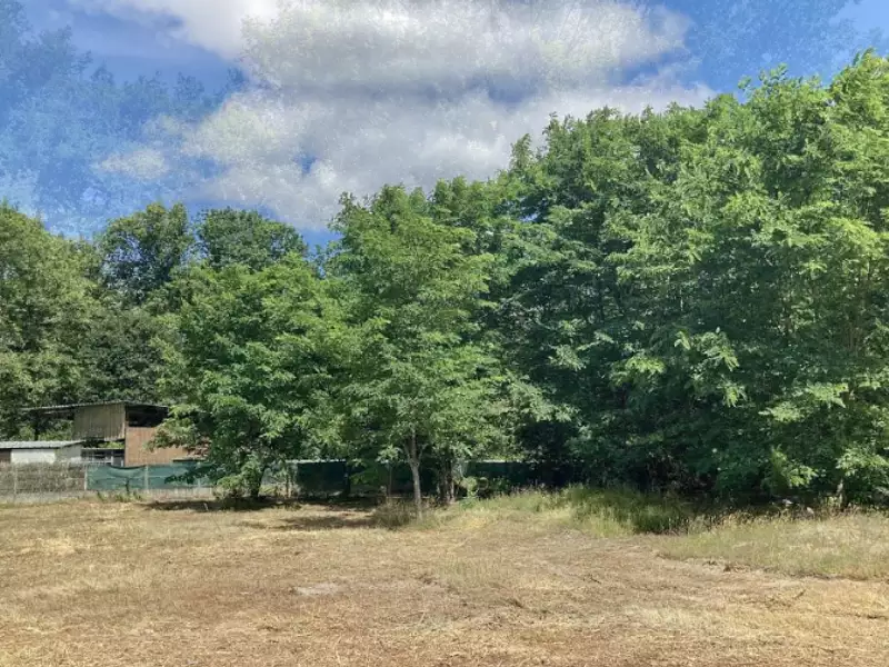 Maison neuve, 133 m² - Sainte-Hélène (33480)