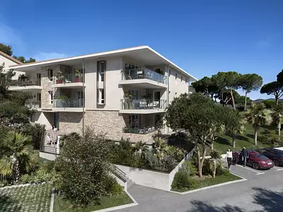 TERRA ESTRELLA