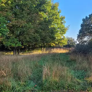 Terrain à bâtir, 686 m²
