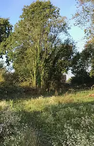 Maison neuve, 87 m²