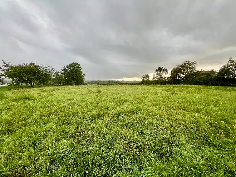 Terrain à bâtir, 1 331 m² - Polliat (01310)