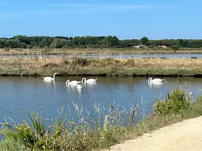 Maison neuve, 62 m²