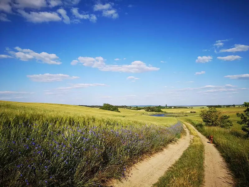 Terrain à bâtir, 660 m² - Chailley (89770)