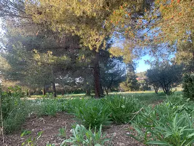 Terrain à bâtir, 476 m² - Saint-Chamas (13250)