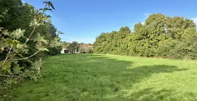 Terrain à bâtir, 1 350 m²