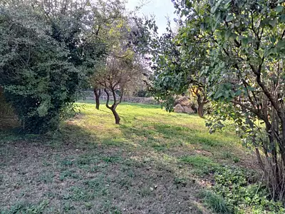 Maison neuve, 85 m²