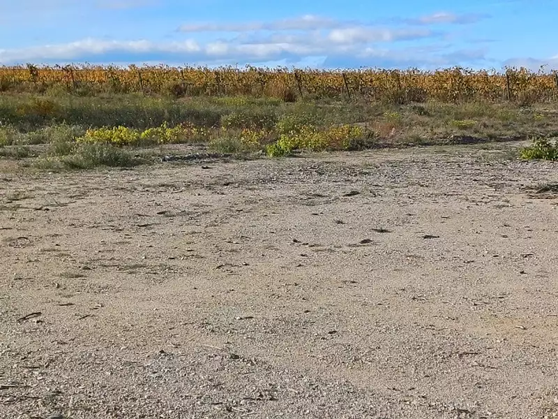 Terrain à bâtir, 423 m² - Pollestres (66450)