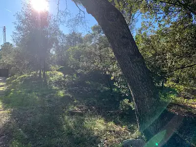 Terrain à bâtir, 506 m²