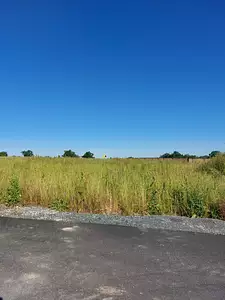 Maison neuve, 100 m²